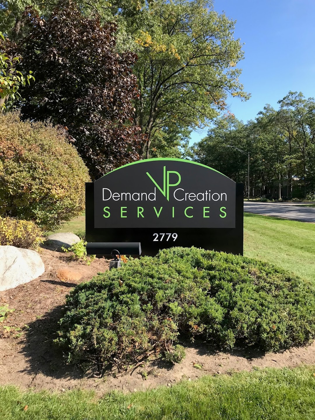 VP Demand Creation Services