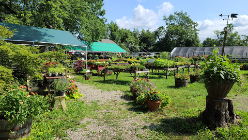 Produce Market «Crane Farm», reviews and photos, 270 S Maple Ave, Basking Ridge, NJ 07920, USA