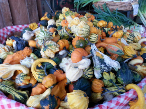 Produce Market «The Bigsby Market», reviews and photos, 1418 Dryden Rd, Freeville, NY 13068, USA