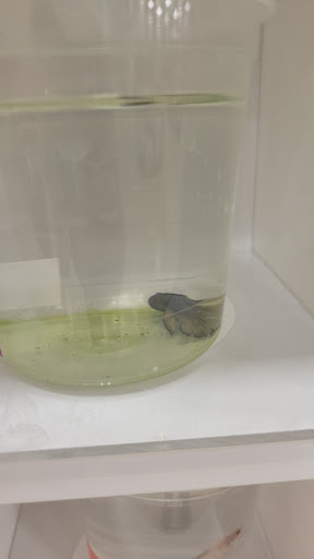 Pet Supply Store «PetSmart», reviews and photos, 4005 Airport Fwy, Irving, TX 75062, USA