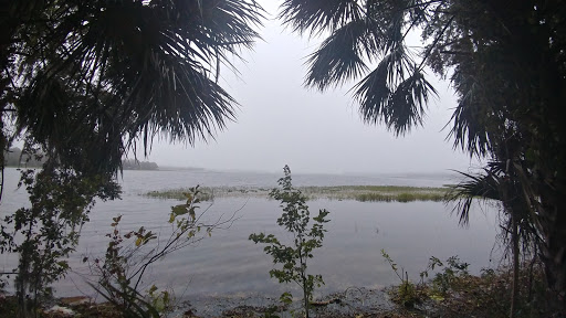 Hardware Store «Ace Hardware», reviews and photos, 2585 N Florida Ave, Hernando, FL 34442, USA