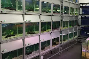 Tingsryds pet store image