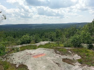 Townsend State Forest - photo 5