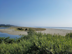 Moonstone Beach的照片 野外区域