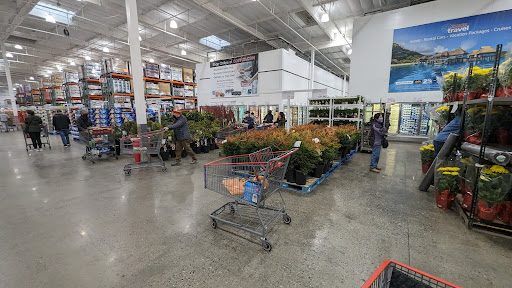 Costco Wholesale image