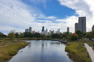 Nature Boardwalk at Lincoln Park Zoo image