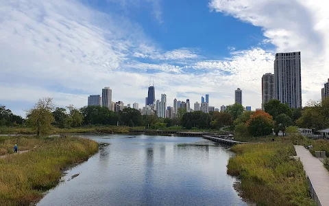 Nature Boardwalk at Lincoln Park Zoo image