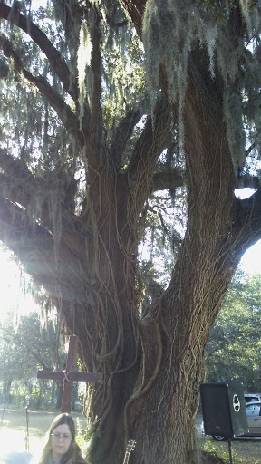 Homeless Shelter «Interfaith Emergency Services Inc», reviews and photos, 435 NW 2nd St, Ocala, FL 34475, USA