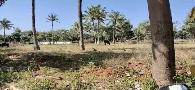 Google Maps image 14