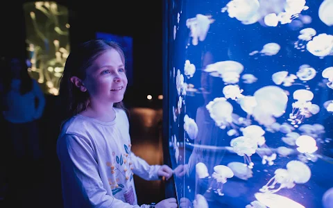 Aquarium of Quebec image