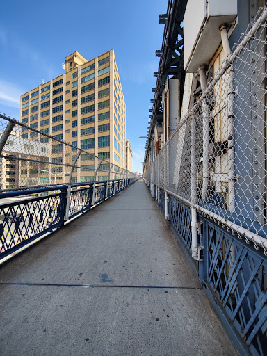 Brooklyn Bridge Park Dog Run image 10