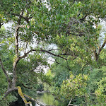 Photo n° 9 de l'avis de ERIK. fait le 30/08/2021 à 22:35 pour Pont de Pierre-Perthuis à Pierre-Perthuis