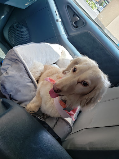 Pet Supply Store «Paws In The Park», reviews and photos, 17833 1st Avenue South, Seattle, WA 98148, USA