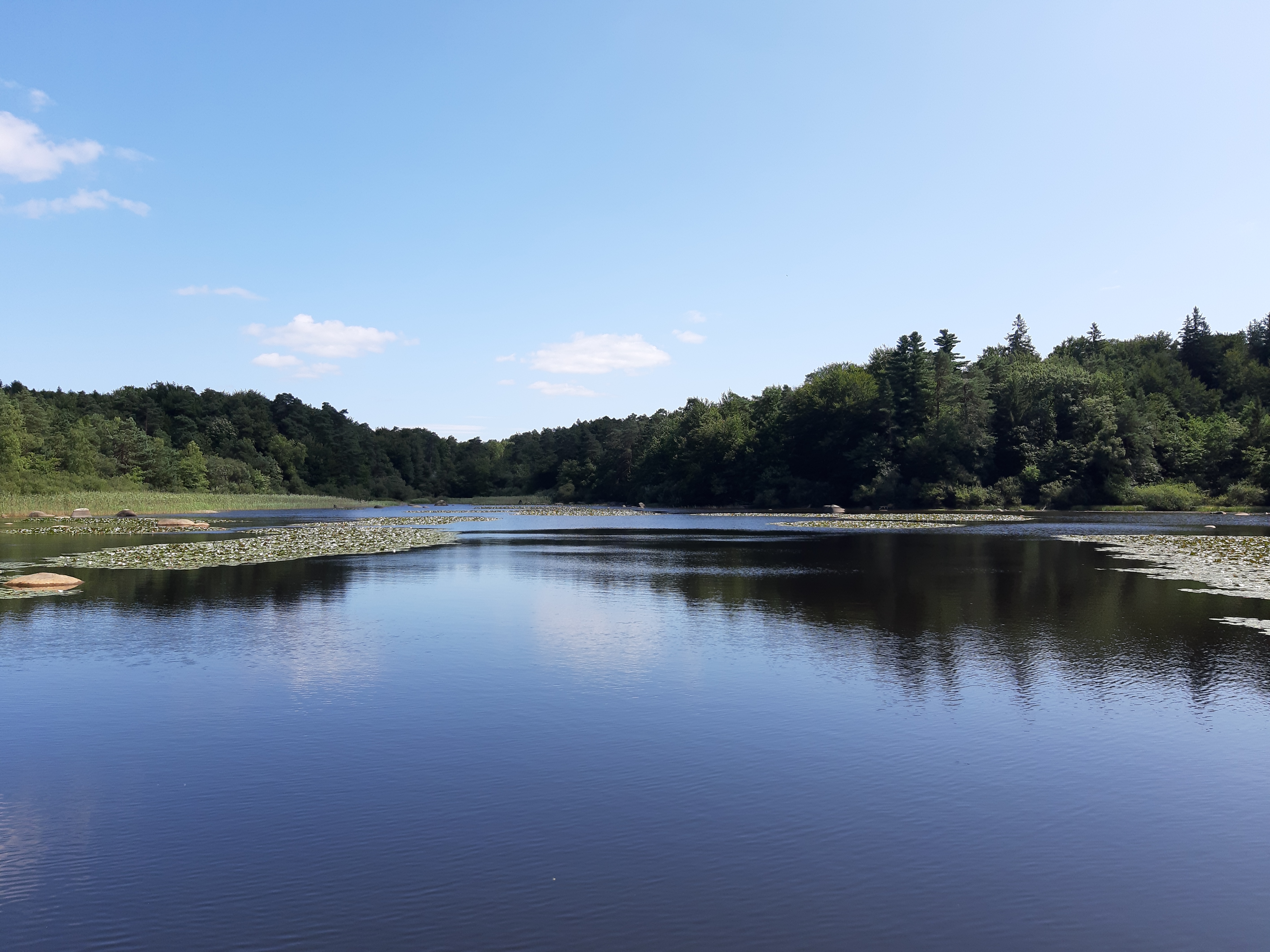 Photo n° 1 de l'avis de Christiane.a fait le 19/08/2019 à 08:17