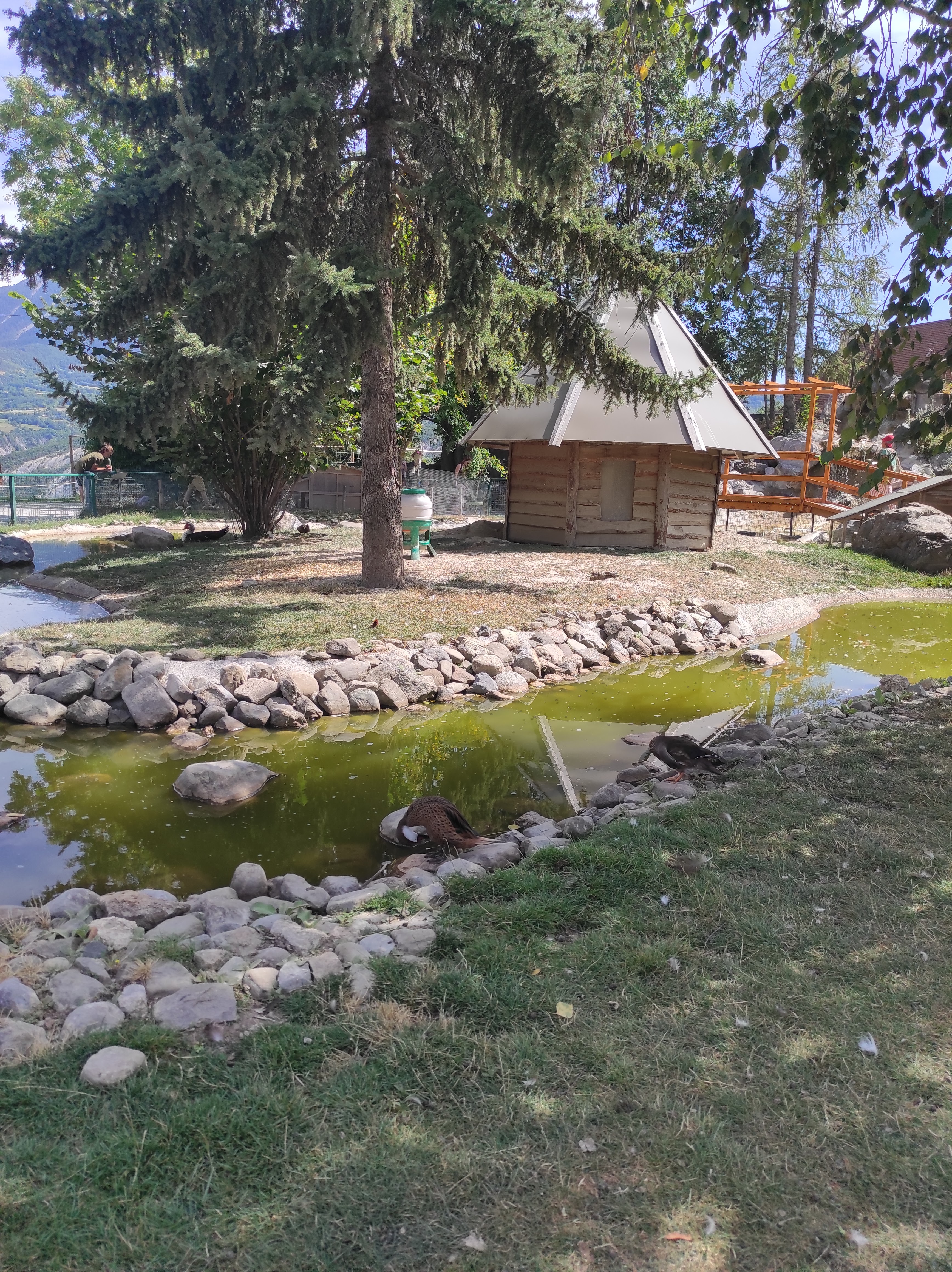 Photo n° 1 de l'avis de Christel.a fait le 18/08/2023 à 05:52