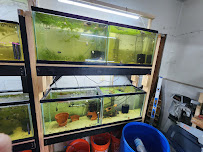 pins and fins - Photo 5 - Car repair in Pinellas Park, FL, St. Petersburg