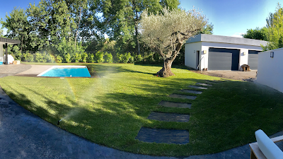 aloé véra paysage à Aubagne
