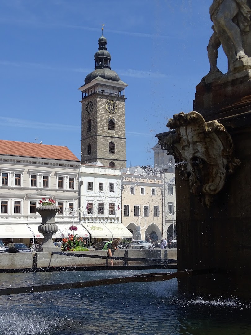 České Budějovice, Çek Cumhuriyeti