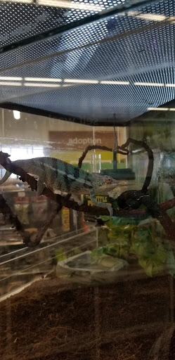 Pet Supply Store «Petco Animal Supplies», reviews and photos, 220 Maine Mall Rd, South Portland, ME 04106, USA