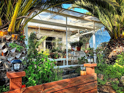 A Hotel Boutique Pelluhue