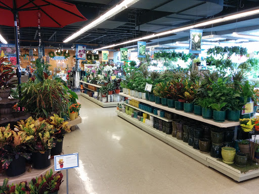 Garden Center «English Gardens», reviews and photos, 6370 Orchard Lake Rd, West Bloomfield Township, MI 48322, USA