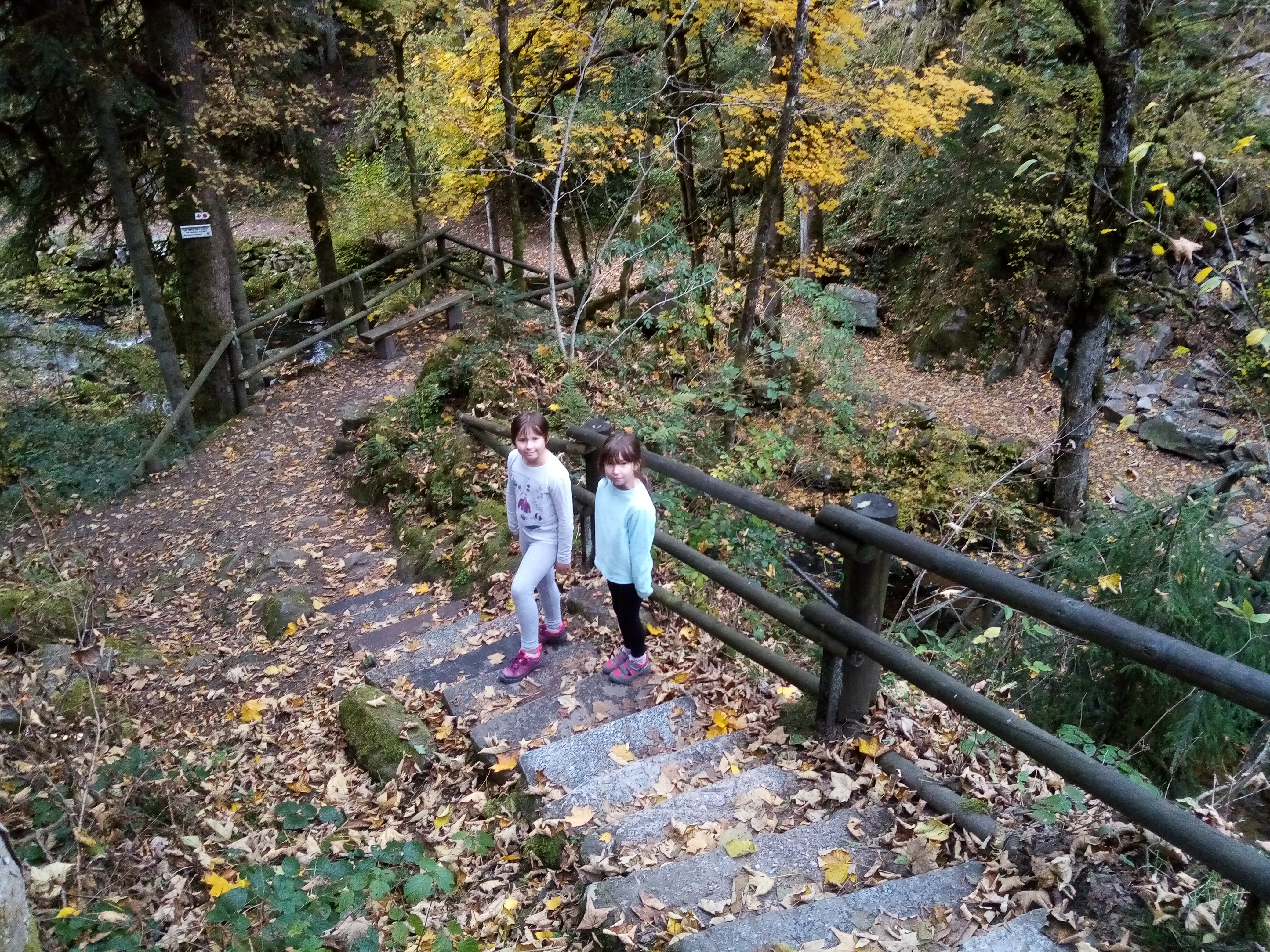 Photo n° 7 de l'avis de Fabrice.u fait le 31/10/2020 à 22:17