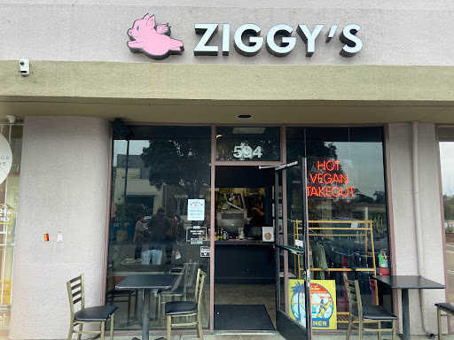 Ziggys image