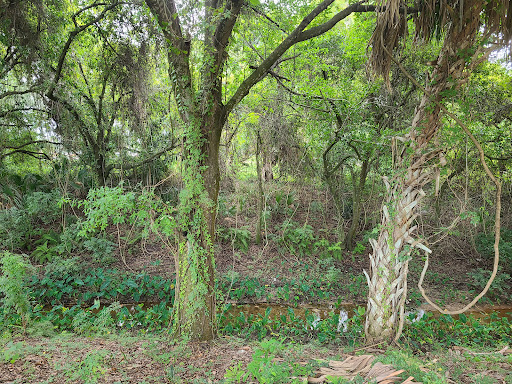 Hotel «Comfort Suites At Fairgrounds-Casino», reviews and photos, 4506 Oak Fair Blvd, Tampa, FL 33610, USA