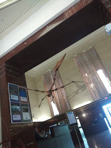 Museum «Texas Memorial Museum», reviews and photos, 2400 Trinity St, Austin, TX 78705, USA