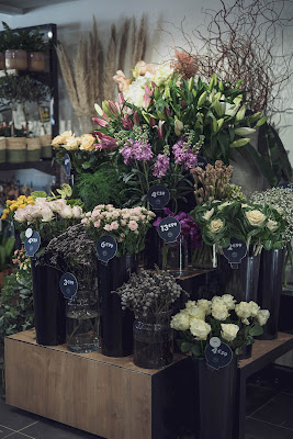 Monceau Fleurs à Montpellier