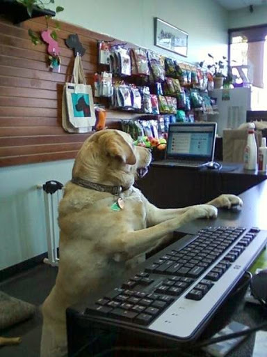 Pet Supply Store «Paw Prints Pet Supplies», reviews and photos, 1000 N Green Valley Pkwy, Henderson, NV 89074, USA