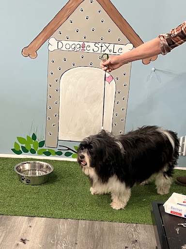 Doggie Style Pet Spa & Boutique
