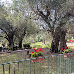 Photo n°3 de l'avis de Daniele.r fait le 22/07/2017 à 19:06 sur le  Country House Pie' d'Ulivo à Bosco