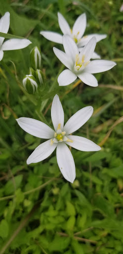 Park «Rockburn Branch Park», reviews and photos, 6105 Rockburn Branch Park Rd, Elkridge, MD 21075, USA