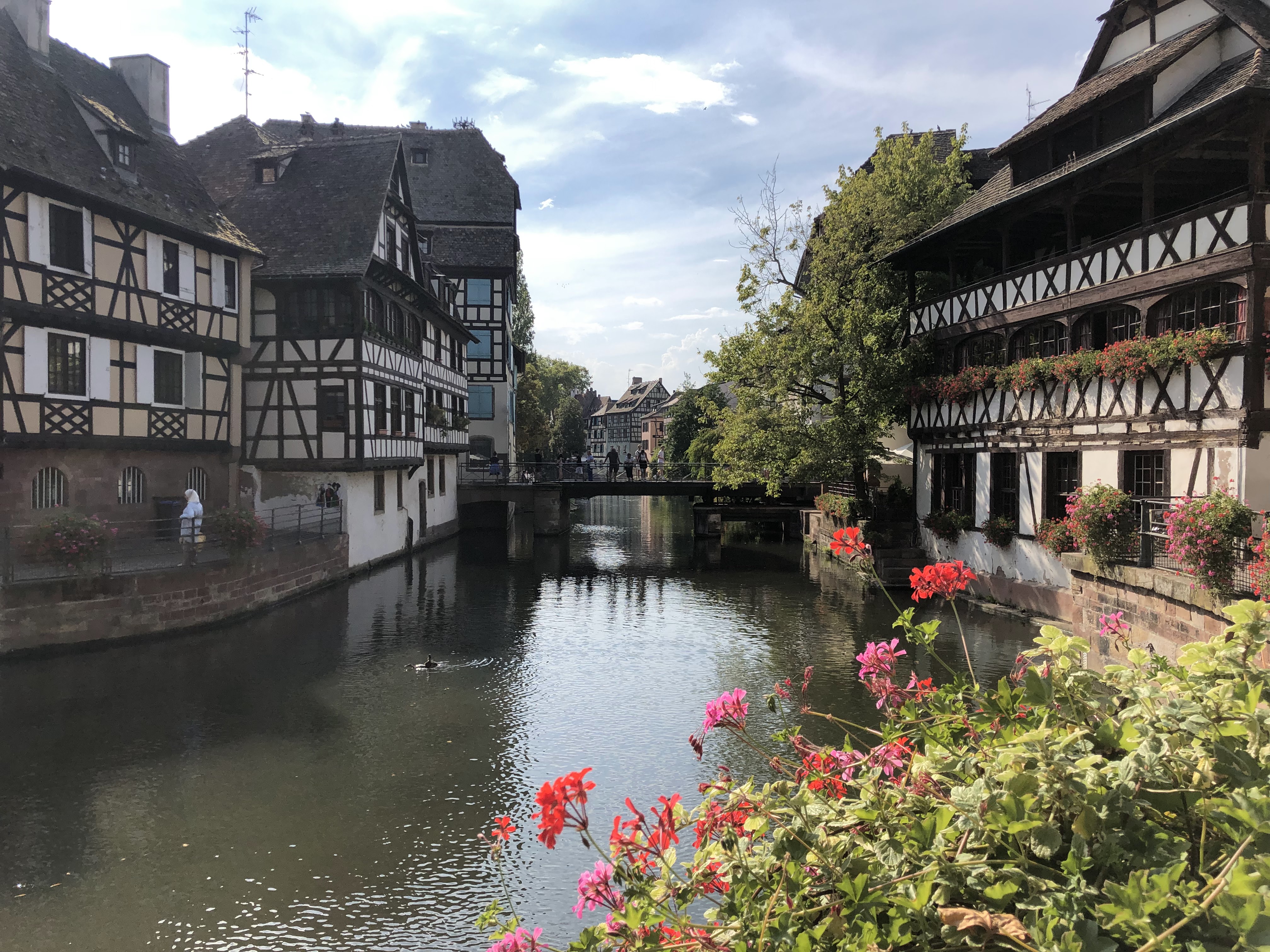 Photo n° 2 de l'avis de Haynes.h fait le 30/08/2022 à 18:32