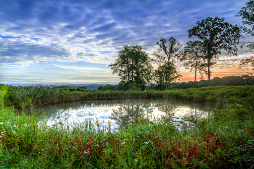 Winery «Priam Vineyards», reviews and photos, 11 Shailor Hill Rd, Colchester, CT 06415, USA