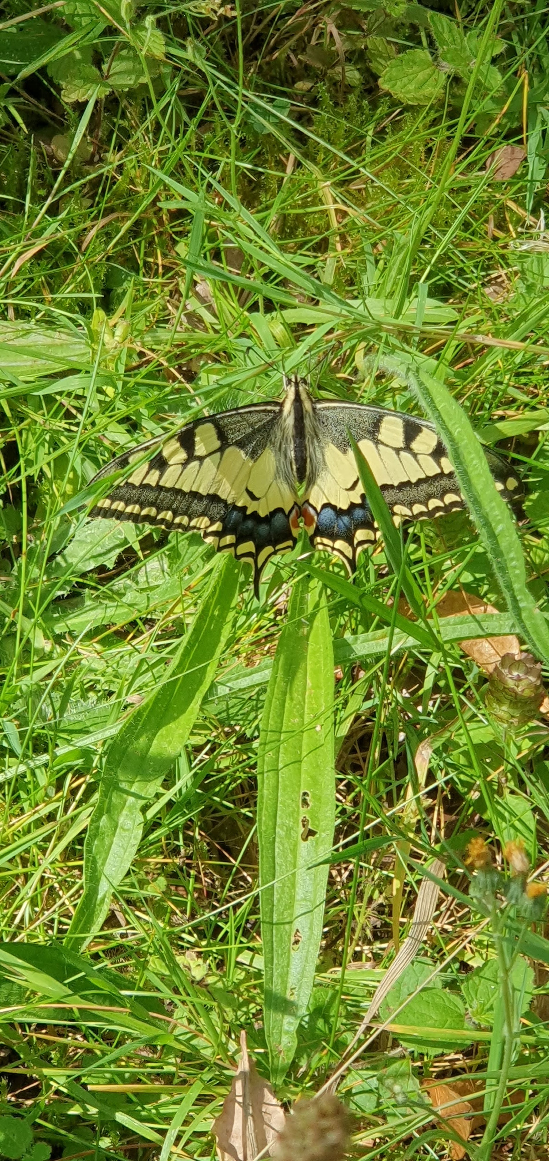Photo n° 6 de l'avis de Paparazzi.x fait le 23/07/2023 à 08:48