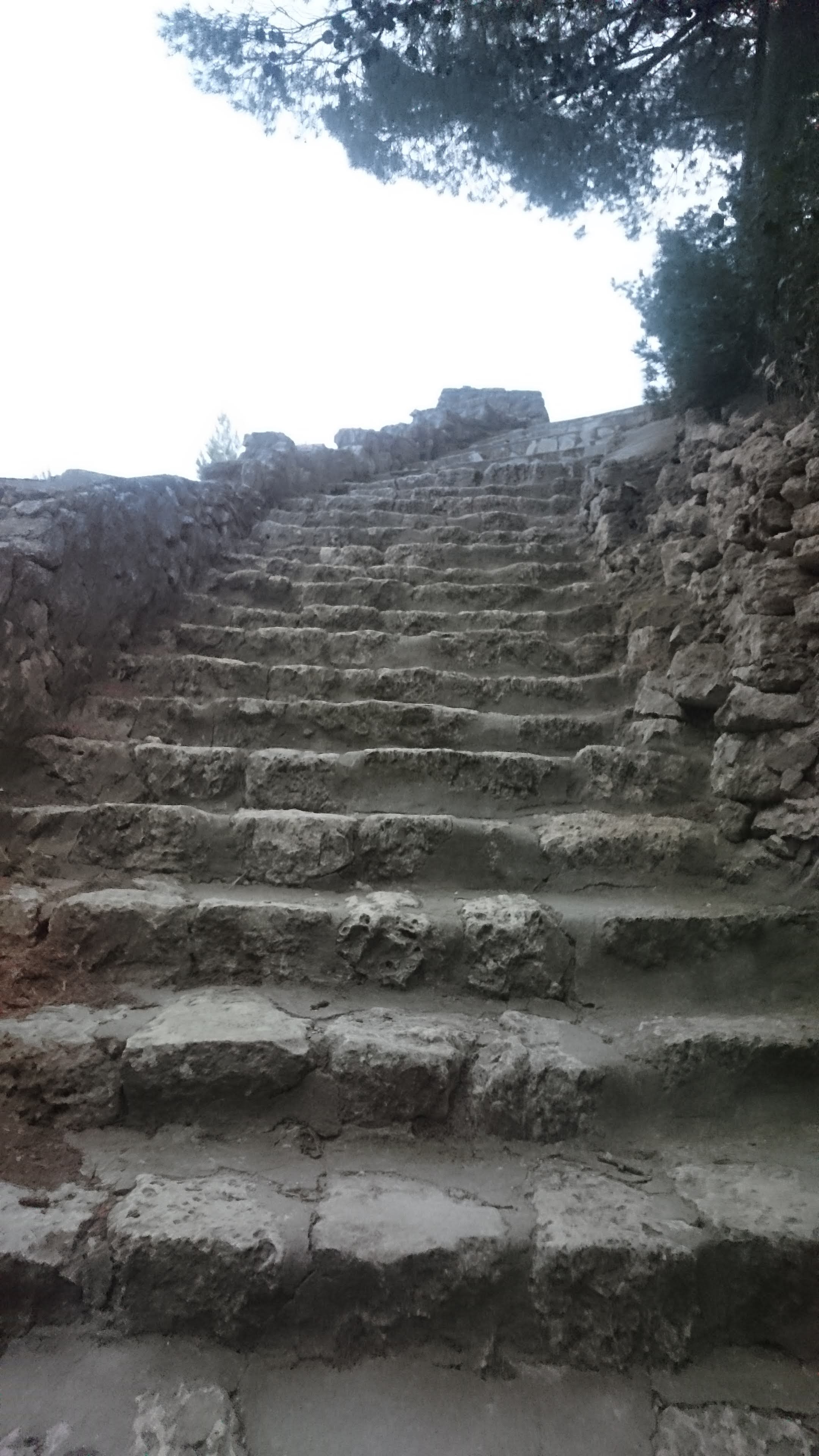Photo n° 1 de l'avis de muriel.o fait le 20/04/2019 à 09:46