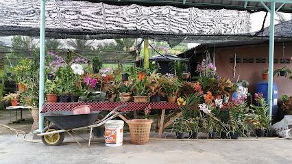 Zaleha Orchid & Nursery