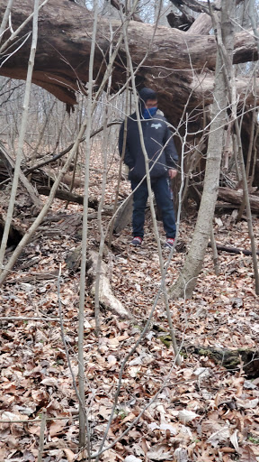 Nature Preserve «Meltzer Woods», reviews and photos, 1522 S 600 E, Shelbyville, IN 46176, USA