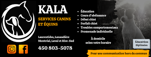 Kala, Services canins et équins - Éducation et Dressage - Charlemagne