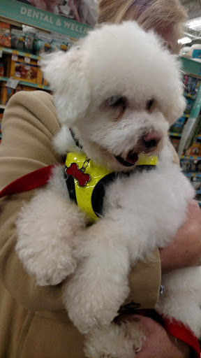 Pet Supply Store «PetSmart», reviews and photos, 917 Holt Rd, Webster, NY 14580, USA