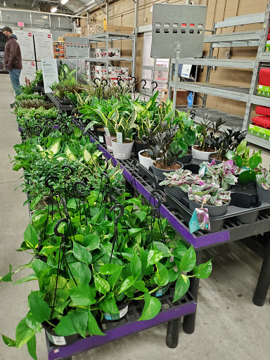 Discount Store «Walmart», reviews and photos, 970 Torringford St, Torrington, CT 06790, USA