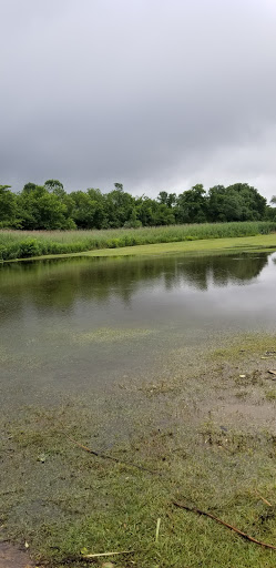 Golf Course «Whaling City Golf Course», reviews and photos, 581 Hathaway Rd, New Bedford, MA 02740, USA