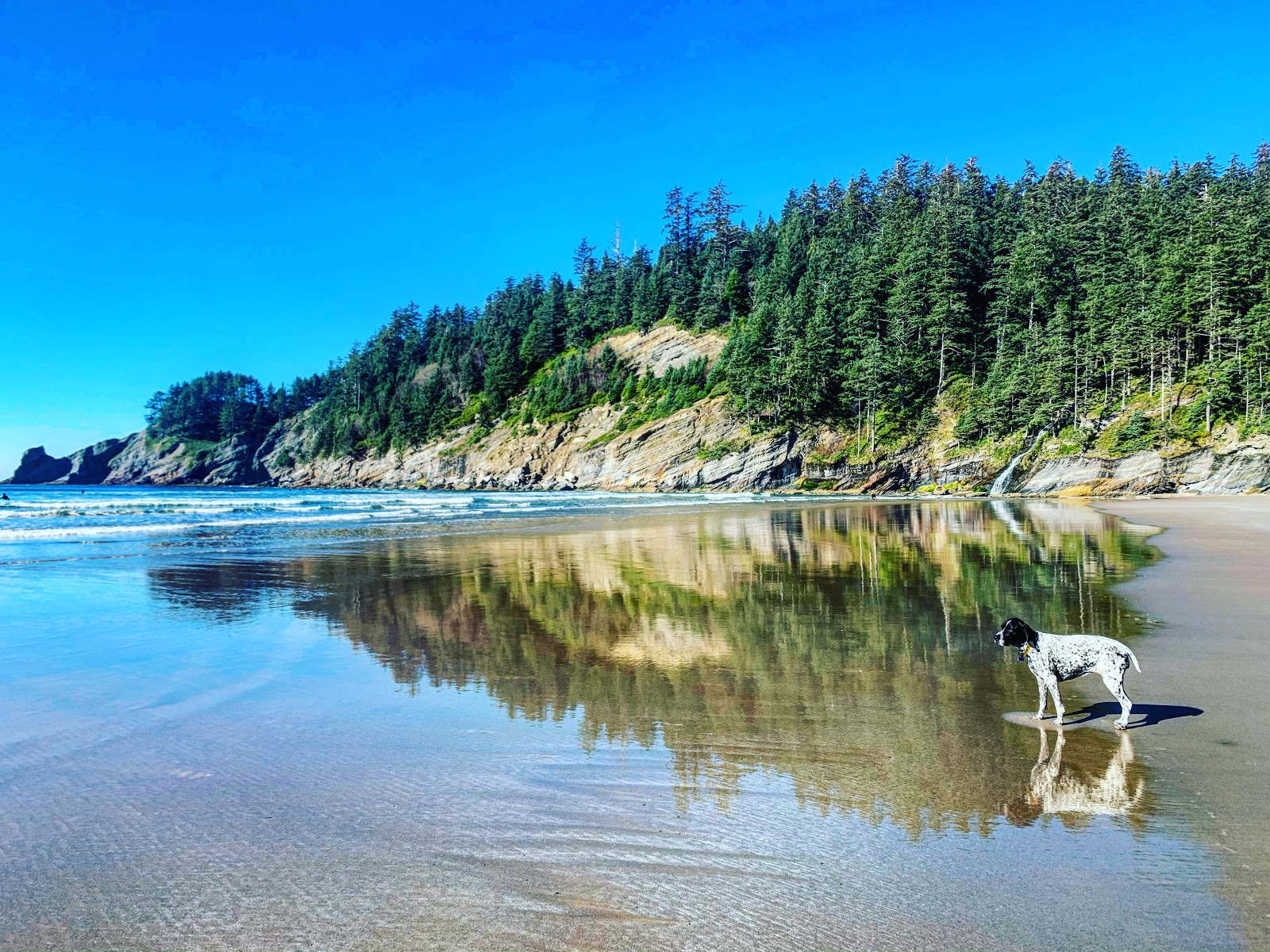 Foto von Short Sand Beach und seine wunderschöne Landschaft