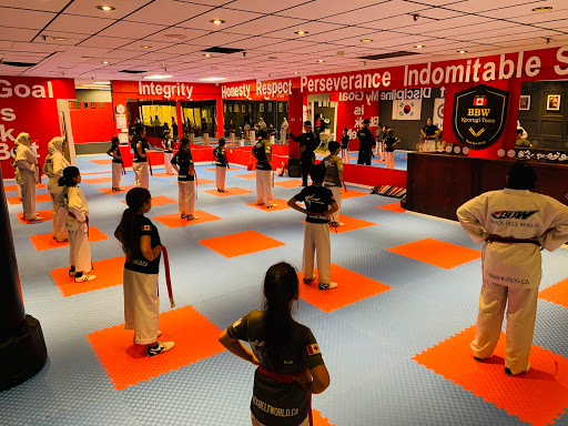 Black Belt World. Vaughan’s Best Taekwondo,Martial Arts & After School Program