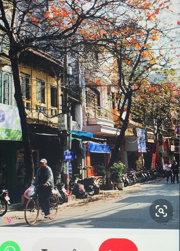 Ice Cream Shop «Zero Degrees», reviews and photos, 9822 Bolsa Ave, Westminster, CA 92683, USA