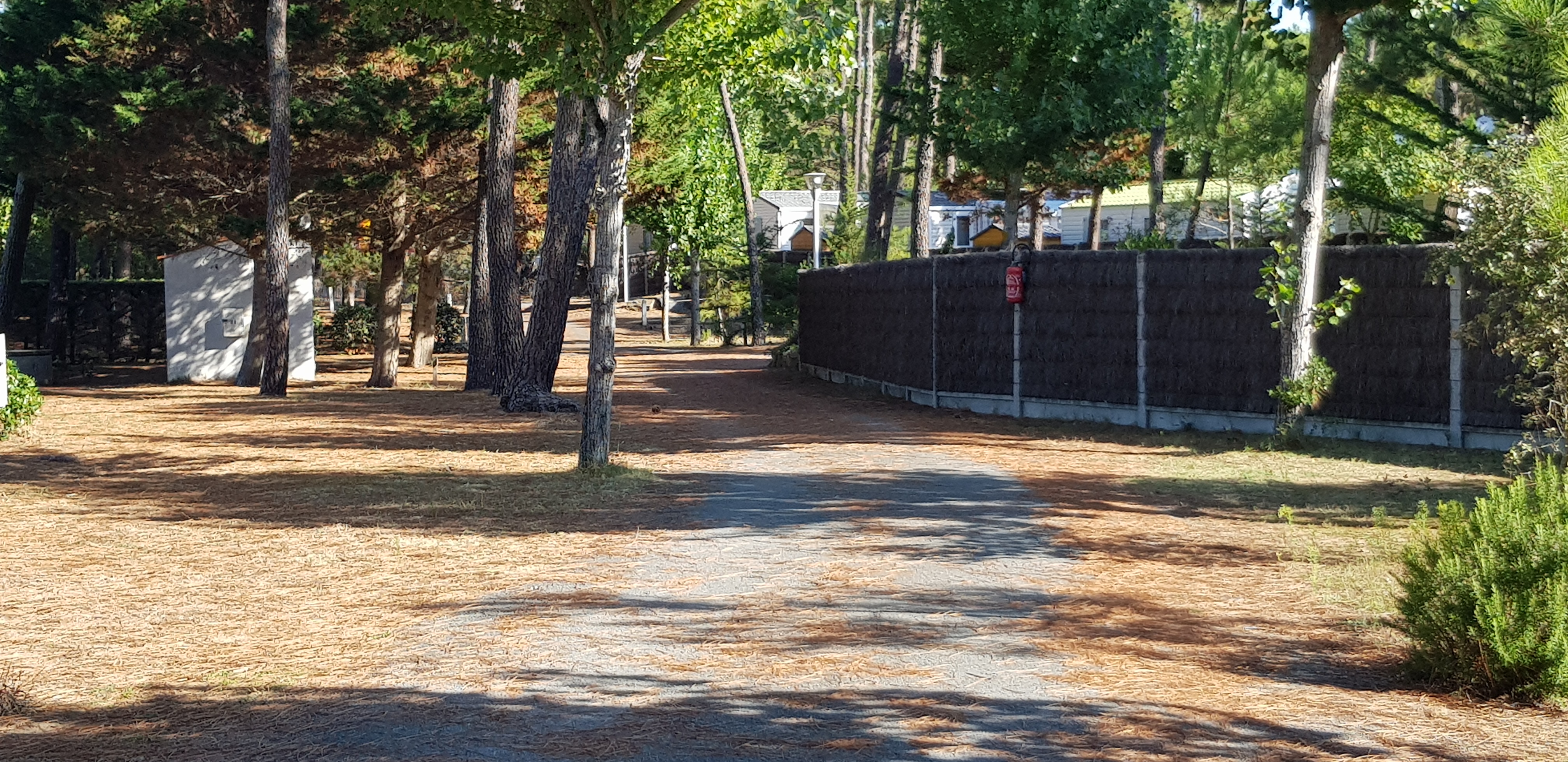 Photo n° 8 de l'avis de DIDIER.O fait le 01/09/2018 à 11:31
