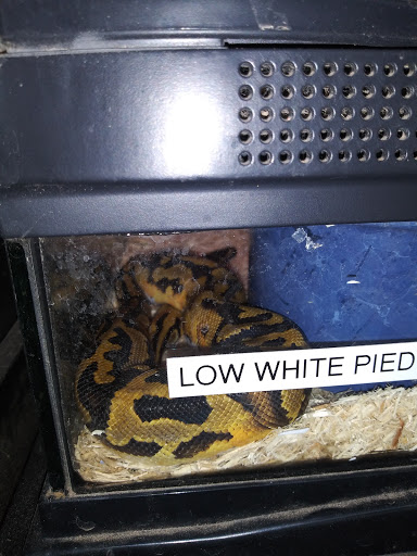 Pet Store «Leesburg Pet Center», reviews and photos, 959 N 14th St, Leesburg, FL 34748, USA