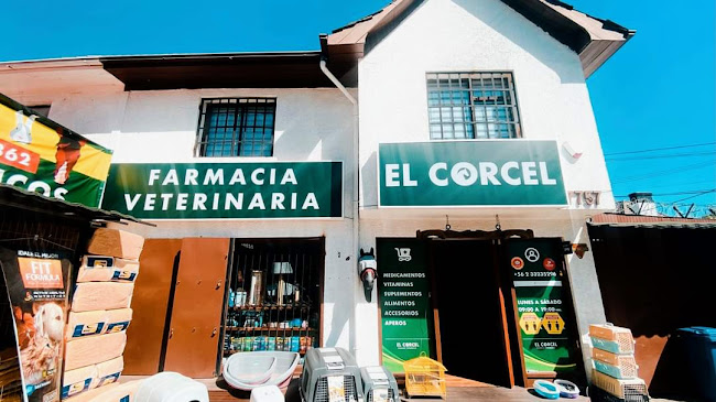 Farmacia Veterinaria El Corcel - Las Condes